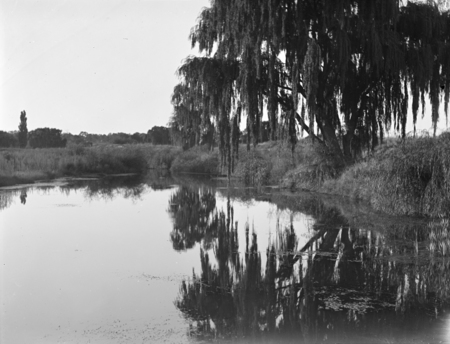 Molonglo River scene.