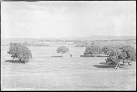 View from Acton to Parliament House. Acton sporting grounds, racecourse, football ground and golf course. Westridge on left.
