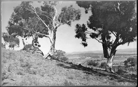 View from Mt Ainslie over Reid to St John's Church and Parliament House.