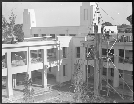 Pot plants being hoisted on to the roof of Parliament House.