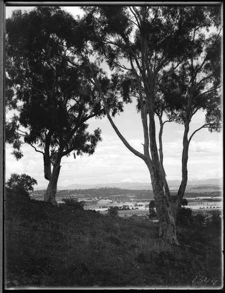 Parliament House from Mount Ainslie.