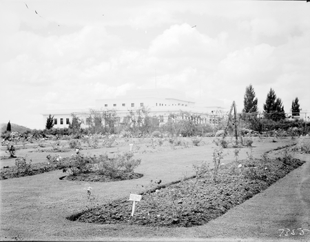 Rose gardens at Parliament House. Sign 'Presented by Dunlop Perdeau Rubber Coy Ltd Victoria'