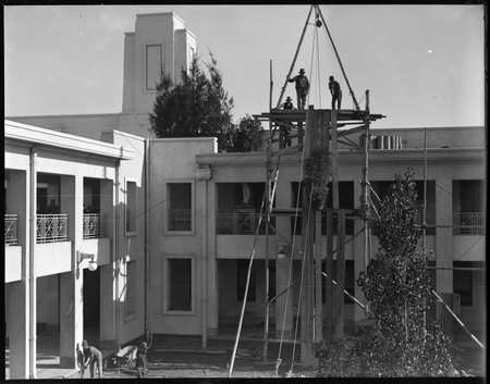 Pot plants being hoisted on to the roof of Parliament House.