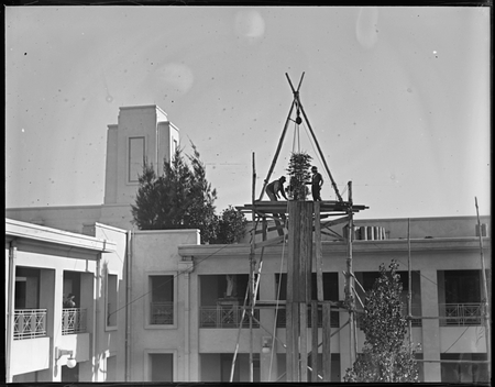 Pot plants being hoisted on to the roof of Parliament House.