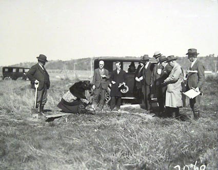 Tree planting ceremony in Commonwealth Avenue by members of the Town Planning Association