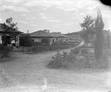 Cottages in Reid, Braddon.