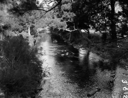 Cotter River.