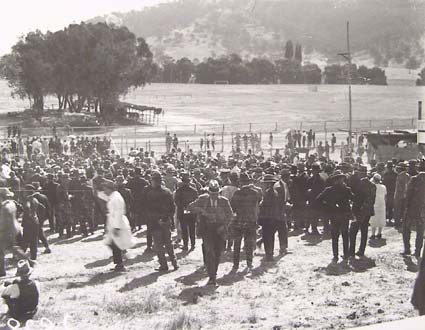 Part of the crowd of race goers at a race meeting, Acton race course.