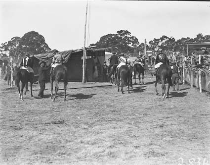 Jockeys and racehorses in the saddling ring, Acton Racecourse.