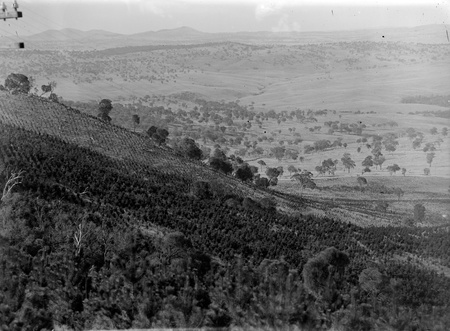 Mt Stromlo forest plantations looking north east.