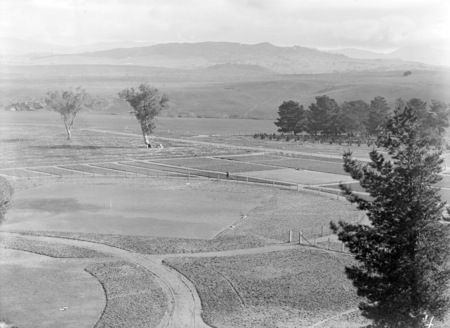 Government House, grounds and gardens, residence of the Governor General, Yarralumla.
