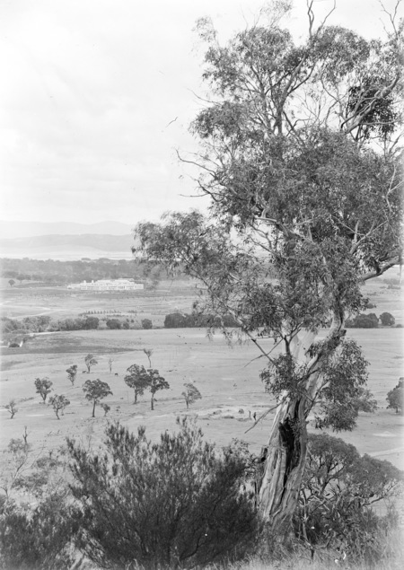 Parliament House from Russell Hill.