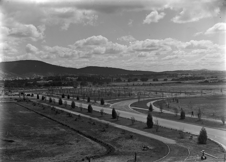 View from Parliament House to North West showing young trees and King Edward Terrace.