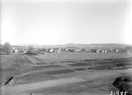 Houses in Reid area looking east.