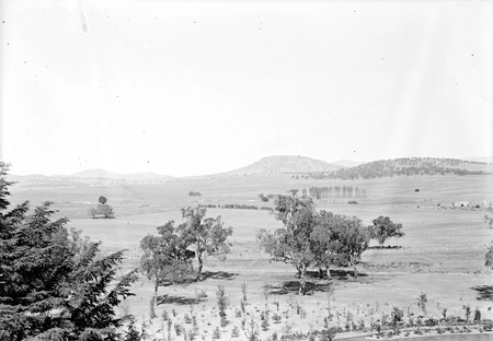 Government House gardens looking towards looking towards Mt Taylor.