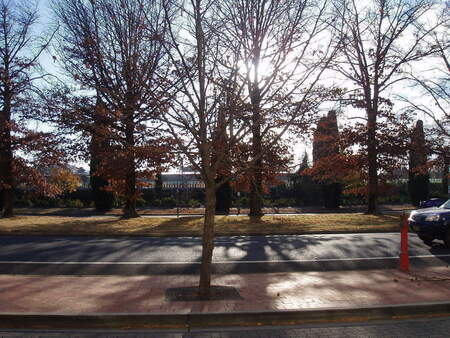 From the cinema across to the oval from street level
