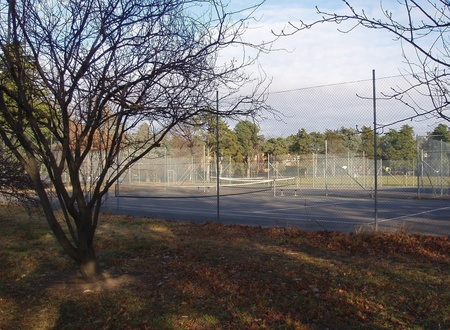 The courts rephotographed here are next to Manuka Oval - not sure if these extended to Canberra Ave or if the original courts were located elsewhere