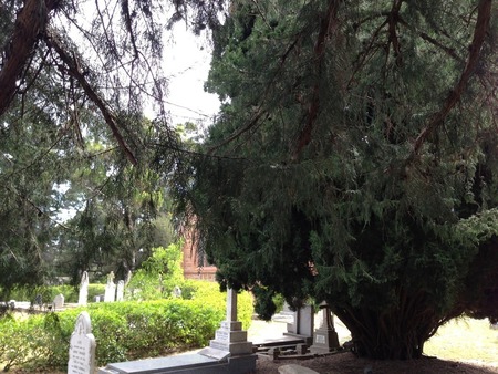 This photograph is a 'closest possible'...where the original photographer stood, there is now a very large tree!