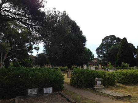 This was taken right in the back corner of the graveyard. No snow today, it was about 25 degrees and very sunny! You can just see the top of the spire and the gravestones that line this photograph up.