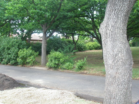 As Glenda says, hard to reproduce from the right viewpoint without invading the neighbours.  This is taken from the nature strip in front of 36 Doonkuna Street.  The lintel of 32 is just visible through the trees. 