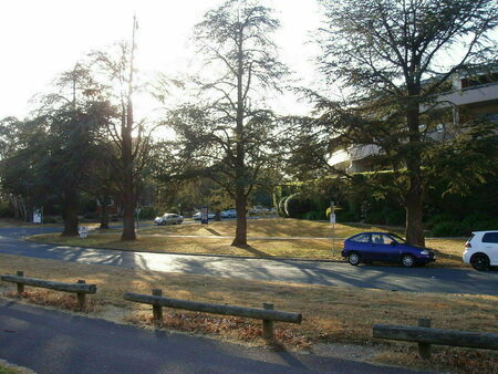 Taken from Telopea Park Avenue to the side of Manuka Oval
