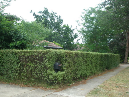 Taken from the same position in Elimatta Street, as near as I can manage.  It's hardly necessary to mention there is now a hedge.  