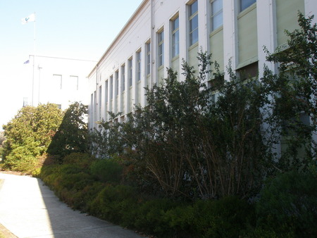 It's difficult to photograph this from exactly the same location; there is a shrub in the way.  
