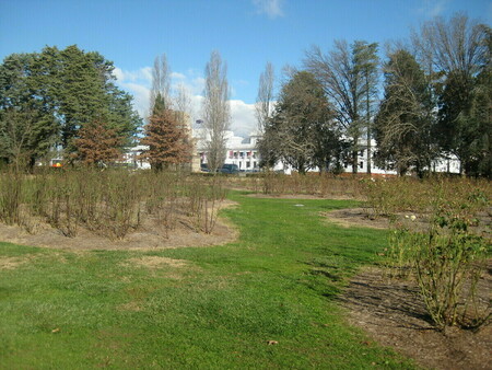 Old Parliament House from rose gardens at front