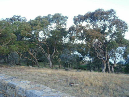 Old Parliament House from Canberra Community Hospital grounds (currently the Australian National University)