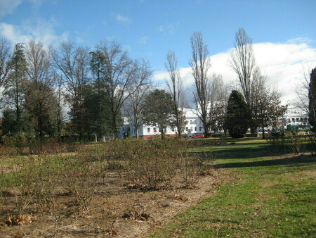Old Parliament House from rose gardens at front